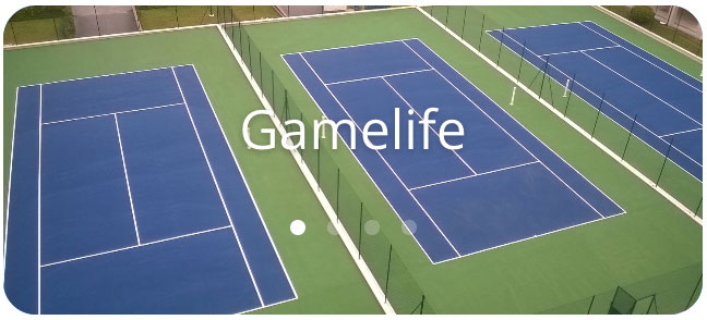 Gamelife